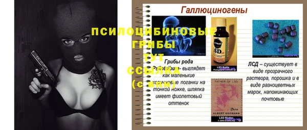 МДПВ Абинск