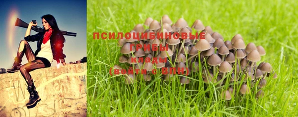 jwh Алзамай