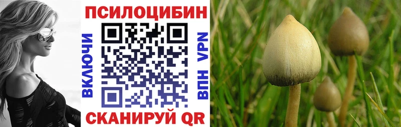 Псилоцибиновые грибы GOLDEN TEACHER Тольятти